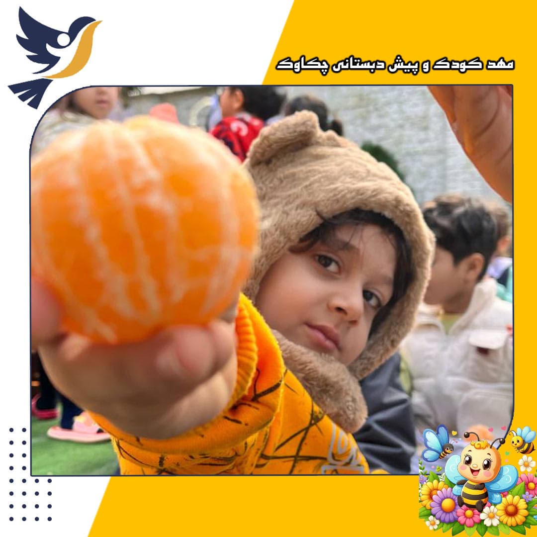 مهد کودک و پیش دبستانی چکاوک