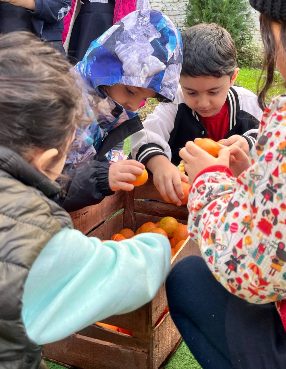 مهد کودک و پیش دبستانی چکاوک
