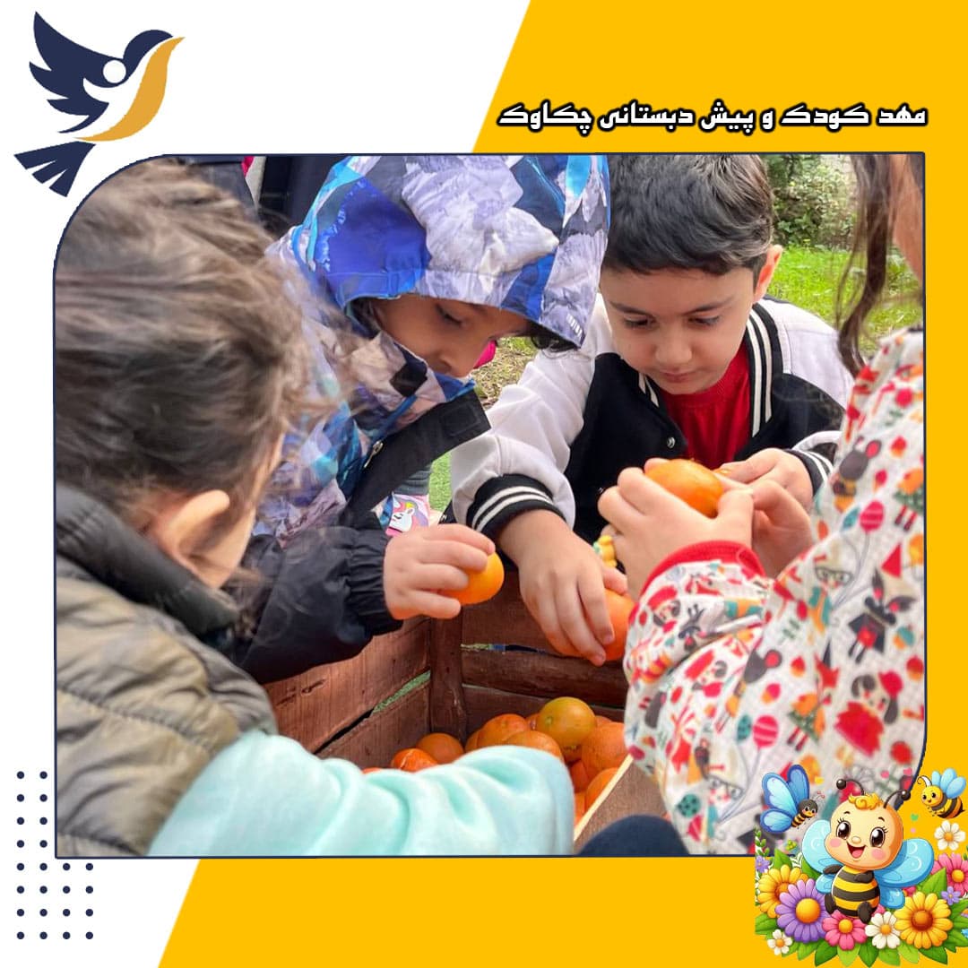 مهد کودک و پیش دبستانی چکاوک